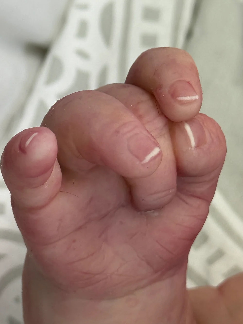 Bebé Reborn Realista Chloe niña con 50cm y 1.700kg