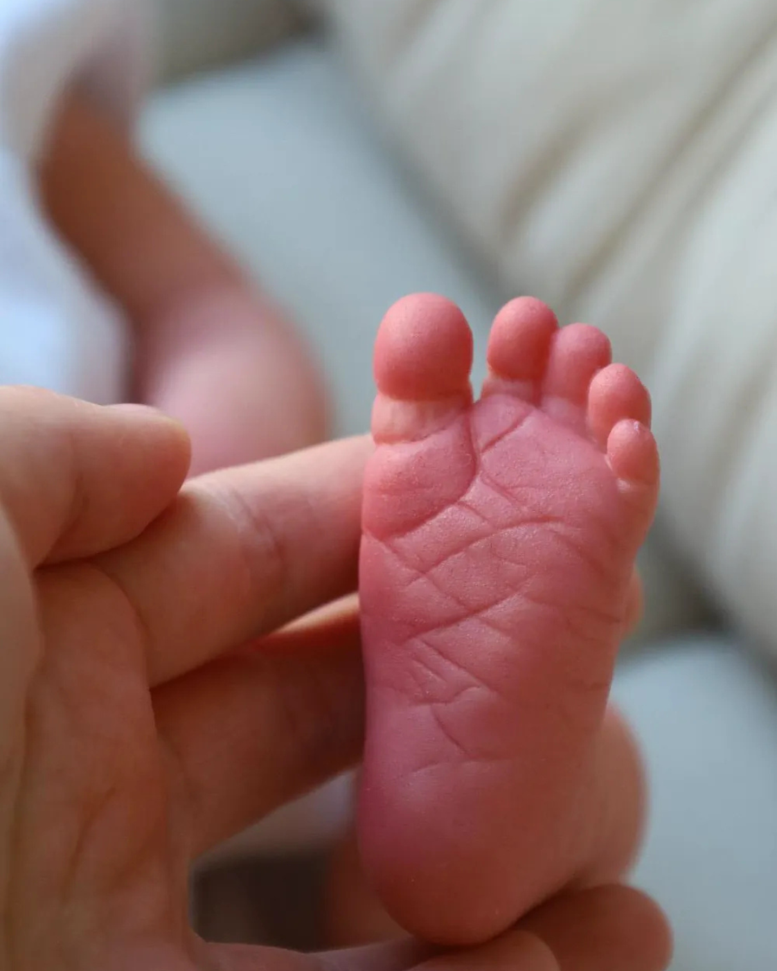 Bebé Reborn Realista Liz niña con 49cm y 1.800kg