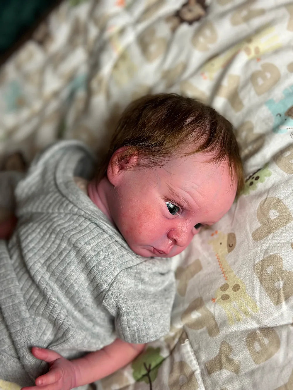 Bebé Reborn Prematura Realista  Laura niña con 44cm y 1.400kg