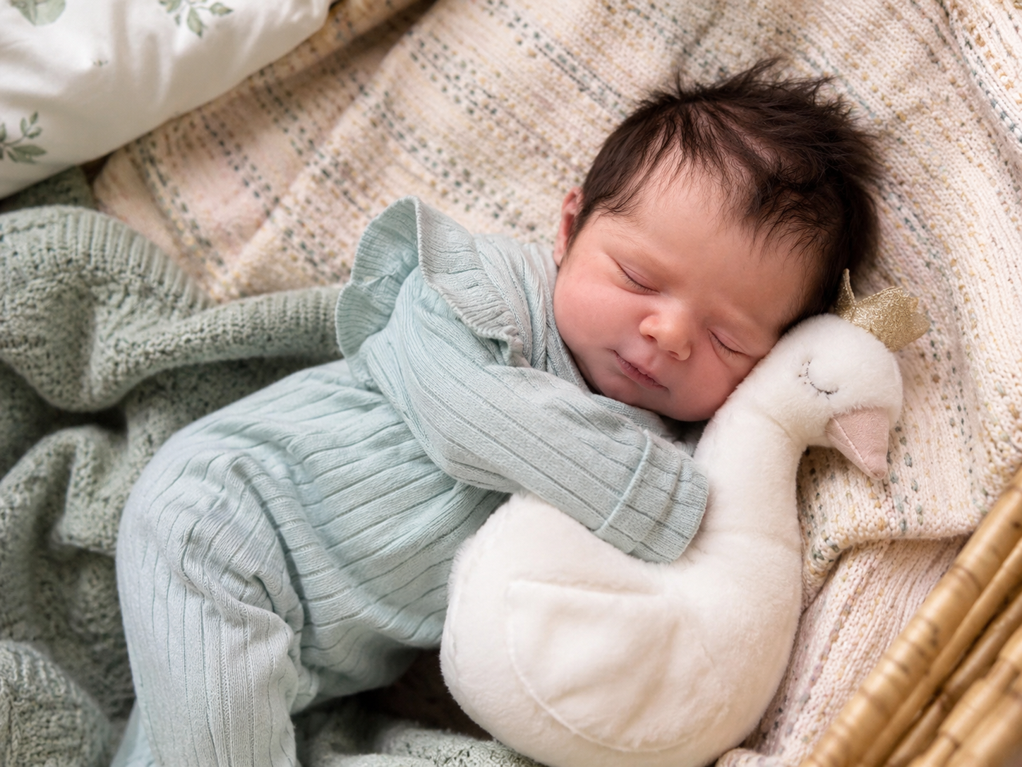 Bebé Reborn Realista  Gonzalo niño con 50cm y 1.700kg